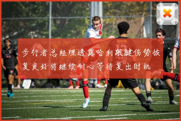 步行者总经理透露哈利跟腱伤势恢复良好将继续耐心等待复出时机